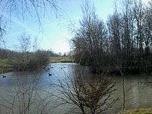 Mare aux canards, Parc Omnisports de Sucy-en-Brie, France.