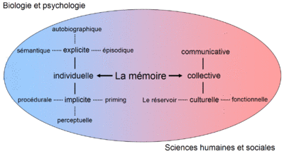 Les formes et fonctions de la mémoire en sciences