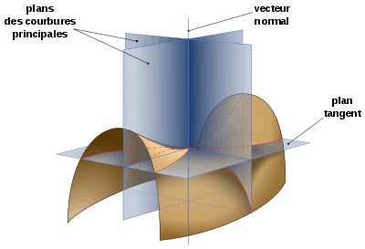 Illustration des courbures principales