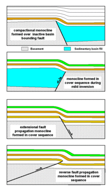 MonoclineMonoclinalFr02.gif