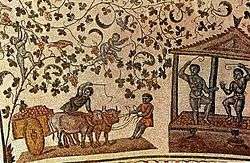Vendange romaine sur des vignes en hautain(Mosaïque de Santa-Costanza)