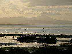 Lagune de Marchica (Nador)