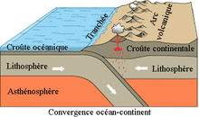 Schéma du volcanisme au niveau d'une convergence océan-continent.