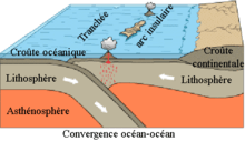 Schéma du volcanisme au niveau d'une convergence océan-océan.