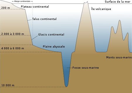 Quelques caractéristiques d'un bassin océanique.