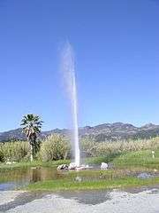 Puits géothermique jaillissant du Old Faithful of California à Calistoga en Californie