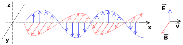 Onde électromagnétique : oscillation couplée du champ électrique et du champ magnétique, modèle du dipôle vibrant. Le vecteur 
  
    
      
        
          
            
              v
              →
            
          
        
      
    
    \displaystyle \vec v
  
 indique la direction de propagation de l'onde.