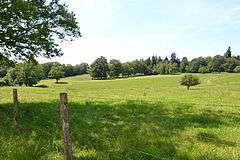 Haies relictuelles, arbres isolés, grandes surfaces herbagères et haies vives remplacées par des clôtures : les éléments du semi-bocage limousin (ou « campagne-parc »).