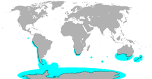 Répartition des différentes espèces de manchot dans le monde.