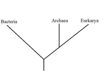 Exemple de représentation arborescente