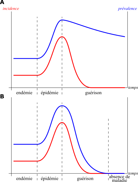 Évolutions possibles de prévalences au cours du temps.