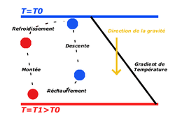 Description du cycle convectif naturel