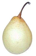 Poire Nashi.