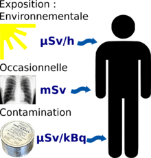 trois modes d'irradiation : Par irradiation continue, par dose ponctuelle, ou par contamination interne.