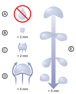 Tailles des gouttes d'eau :
A) En réalité, les gouttes d'eau n'ont pas la forme 'classique'.
B) Les gouttes très petites sont presque sphériques.
C) Le dessous des gouttes plus grandes s'aplatit par la résistance de l'air, et donne l'apparence d'un petit pain de hamburger.
D) Les grandes gouttes ont beaucoup de résistance à l'air, ce qui les rend instables. 
E) Les gouttes très grandes sont divisées par la résistance de l'air.