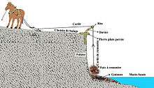 Remontée du goémon à l'aide d'un davier (schéma explicatif)