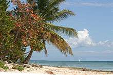 Plage de la République Dominicaine