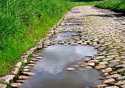 Pavés anciens du nord de la France, près de Lille (Lesquin)