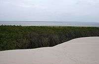 Dune du parc national de Słowiński, près du lac Łebsko, Pologne