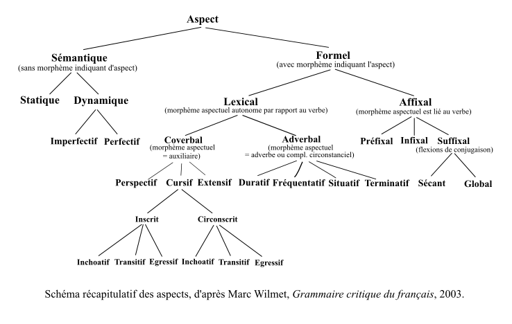 Les aspects perfectif/imperfectif dans un schéma possible des aspects.