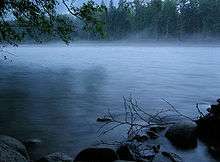 Les cours d'eau sont une des sources de brouillard dont les plantes bénéficient