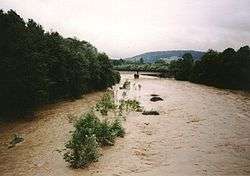 La berge habituelle est la pente menant au lit mineur ; Mais lors d'inondation ou d'étiage bien différent, les limites pentues du cours d'eau varient.