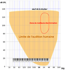 Limites en fréquence et en intensité des sons audibles. La zone d'acuité maximale est celle où la distinction entre des sons proches en hauteur ou en intensité est la plus fine.