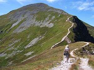 Il est fréquent qu'un chemin de crête matérialise peu ou prou la crête. C'est en effet le chemin le moins fatigant pour le marcheur, à défaut d'être le plus court