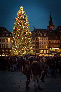 Le grand sapin de Noël de Strasbourg en 2014