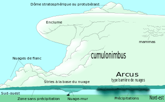 Vue conceptuelle d'un supercellulaire