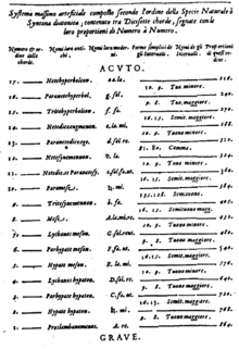 Syntona_diatonica.gif