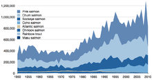 Capture commerciale de toutes les espèces de saumons sauvages entre 1950 et2010[23].