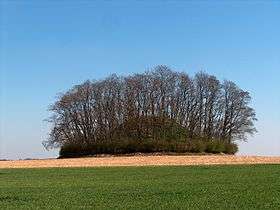 Tumulus d'Hottomont.