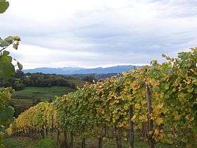 Vignoble du Jurançon (Monein)