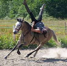 Cavalier exécutant une figure de voltige cosaque sur son cheval lancé au galop