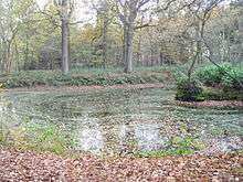 Ensemble naturel néerlandais.