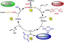 Cycle catalytique de l'acétoxylation allylique