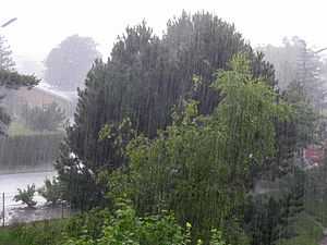 雨中的风景