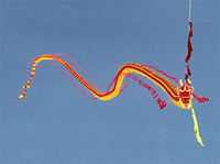 “龙形风筝”，主要以龙头蜈蚣风筝为主，也是潍坊风筝的一大特色。