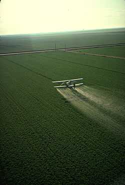 在农田比较广泛的地区，一般会用小型飞机喷洒农药。