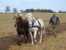 德国农民采用有轮的传统犁耕地
