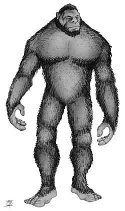大脚怪(bigfoot,sasquatch),又称大脚或北美野人,是一种未知的灵长类