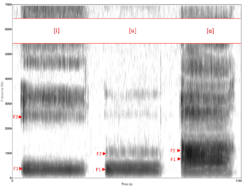 美式英语元音[i, u, ɑ]的声谱图，图中显示了共振峰f1 和 f2