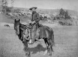 1887年时美国的牛仔