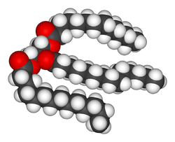 三酸甘油酯分子