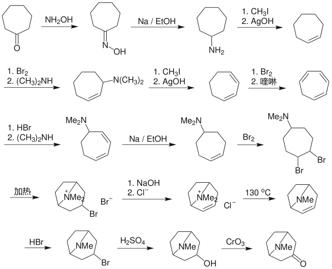 WillstatterTropinoneSynthesis.svg.png