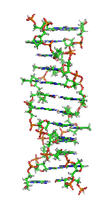 dna双螺旋结构 动态图图片